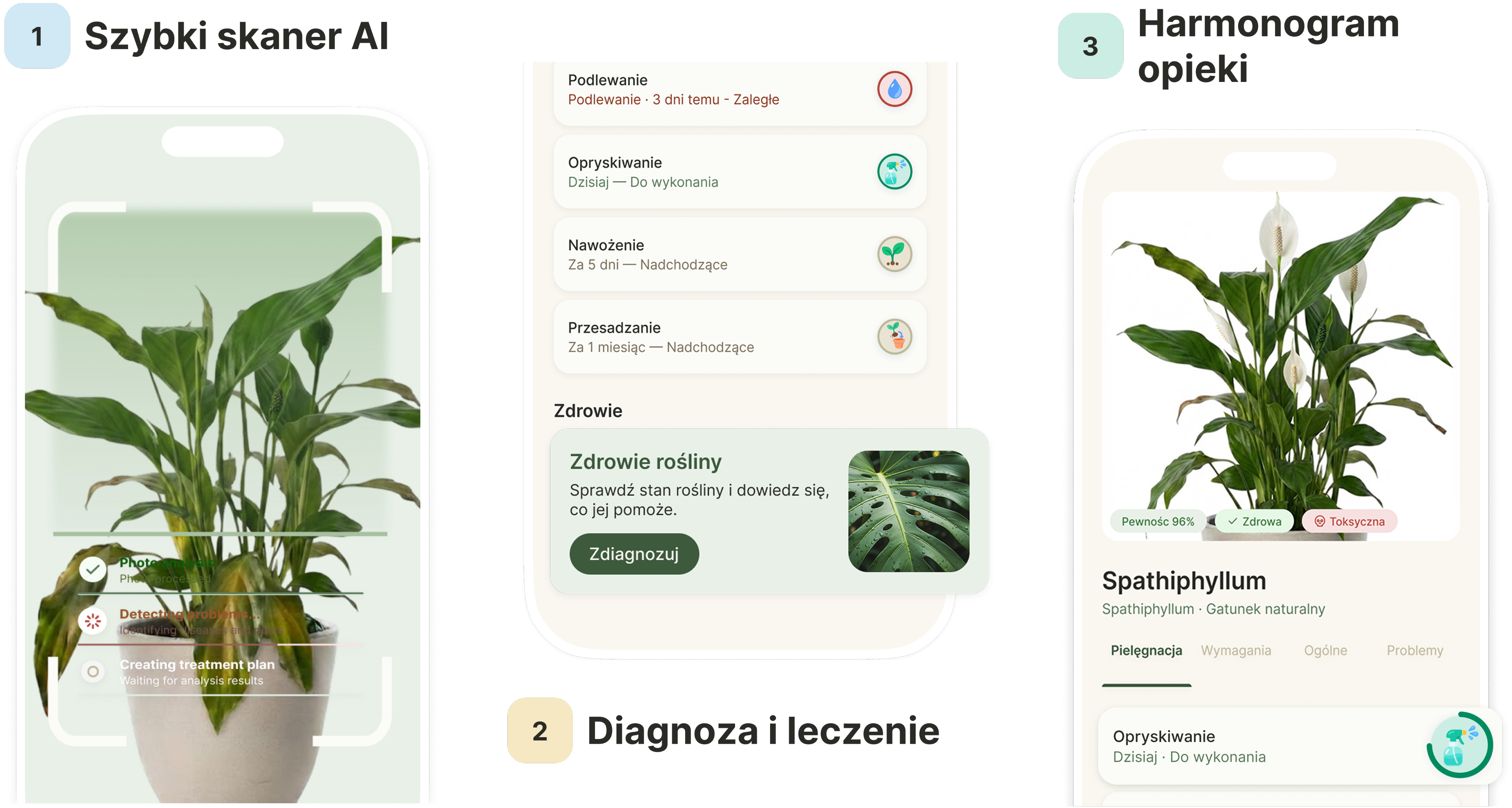 Jak pracuje Flowr — 3 kroki