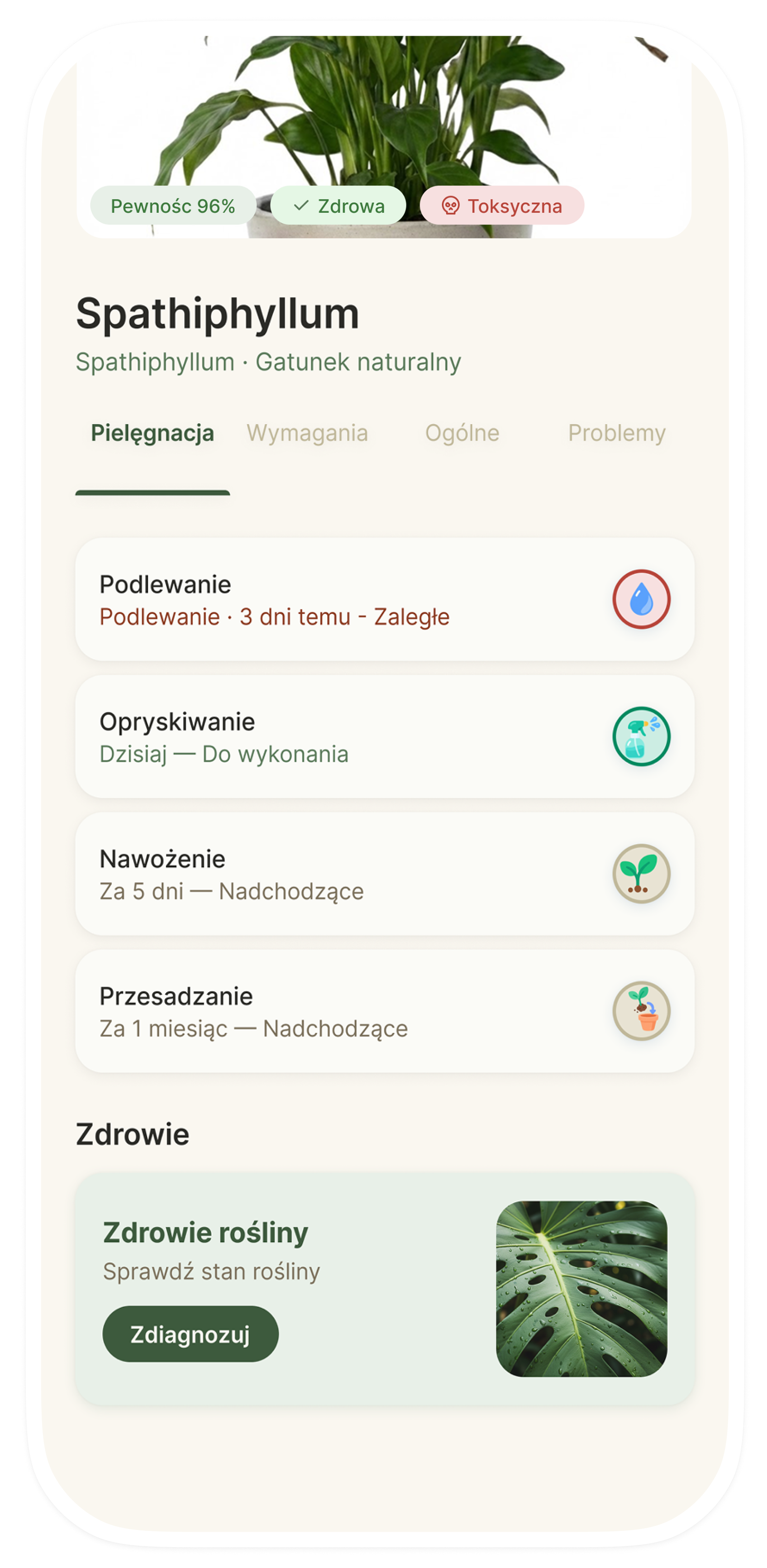 Diagnoza i leczenie